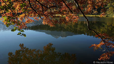 沼（紅葉）