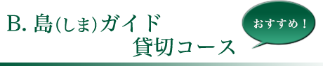 B.島(しま)ガイド貸切コース